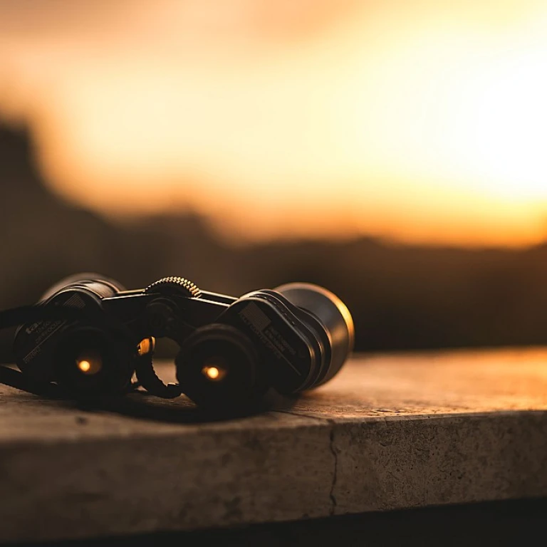 Quand les Métriques Deviennent des Oracles : L'Art de Prédire l'Avenir du Marketing
