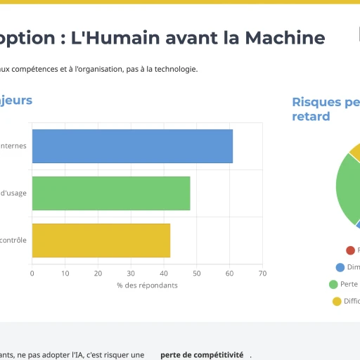 Statistique : Freins et résistances