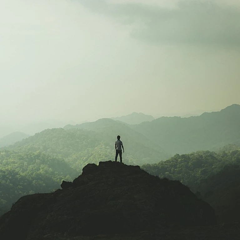 Optimisation des opportunités de contenu grâce aux données Semrush