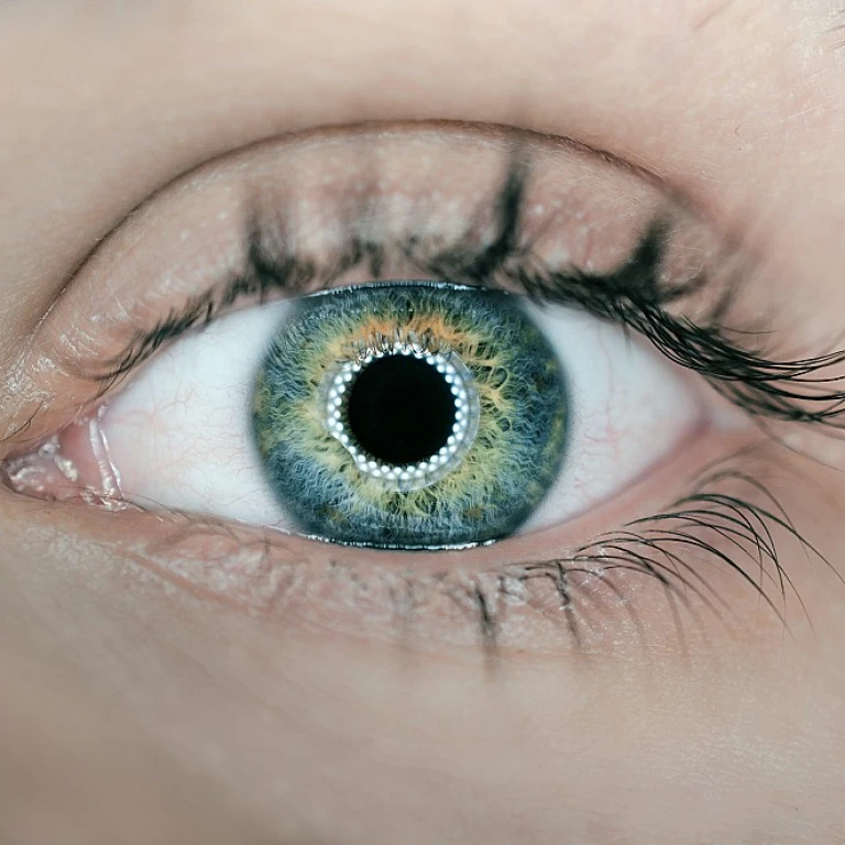 Quand l'IA Devient un Explorateur de l'Inattendu : L'Art de Décrypter les Signaux Faibles pour Révéler des Trésors Cachés