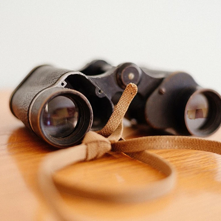 Naviguer à travers le Maquis des Métriques: Comment Mieux Comprendre les Indicateurs Clés de Performance pour Améliorer la Génération de Leads ?
