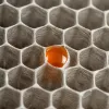 Comment réussir l’achat d’une base de données B2B pour une prospection outbound performante